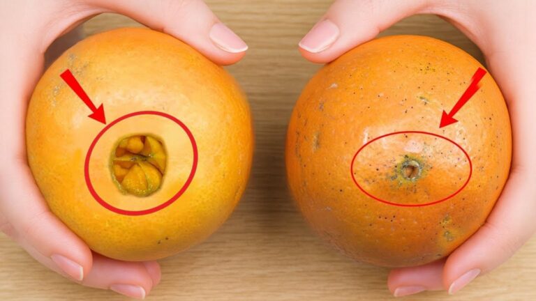 Cette astuce simple vous fera choisir des oranges sucrées à tous les coups…