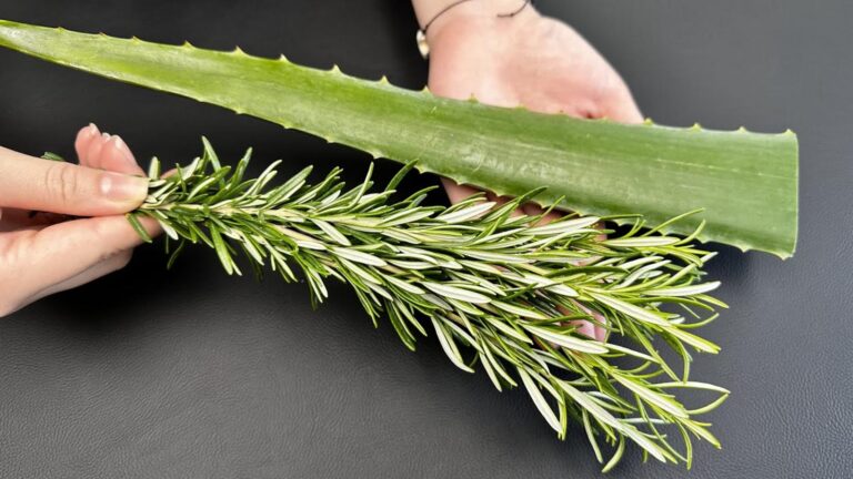 Cette méthode naturelle détoxifie votre corps avec des plantes…
