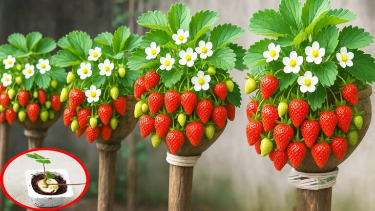 Cette astuce écolo transforme vos bouteilles en un jardin vertical à fraises…
