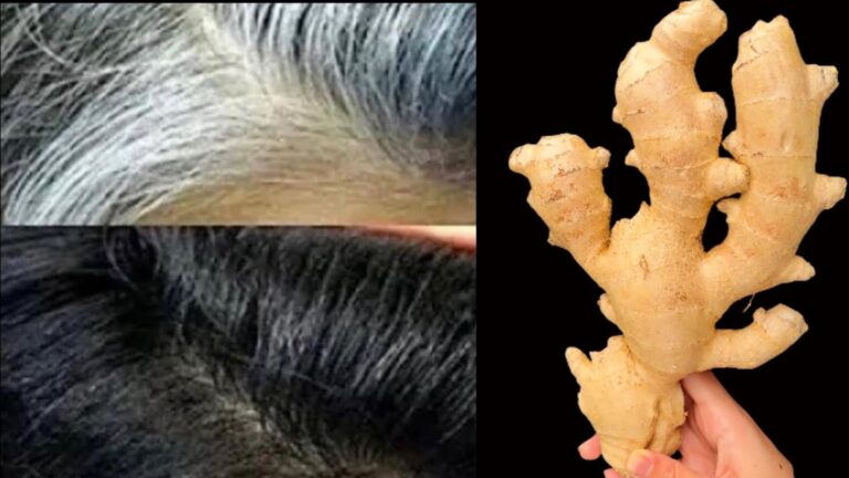 Cette astuce de grand-mère révèle comment retrouver des cheveux denses…
