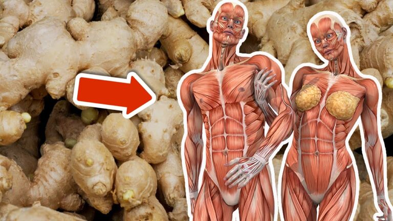 9 bienfaits étonnants du gingembre pour une santé optimale à découvrir !