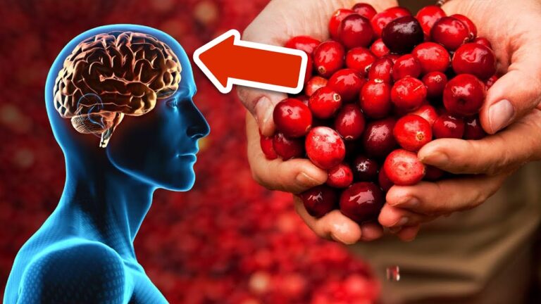 Découvrez 5 fruits indispensables pour protéger votre cerveau et rester en forme !