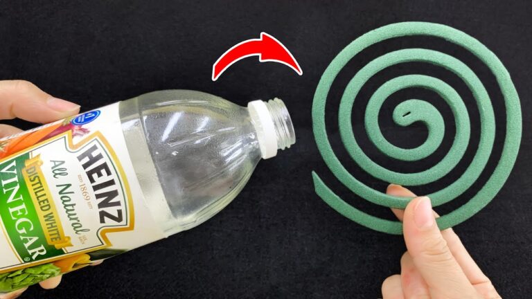 14 astuces maison ingénieuses à découvrir absolument pour transformer votre quotidien !