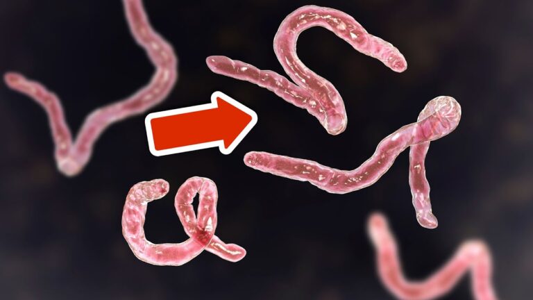 Éliminez 5 parasites naturellement et boostez votre santé sans effort !