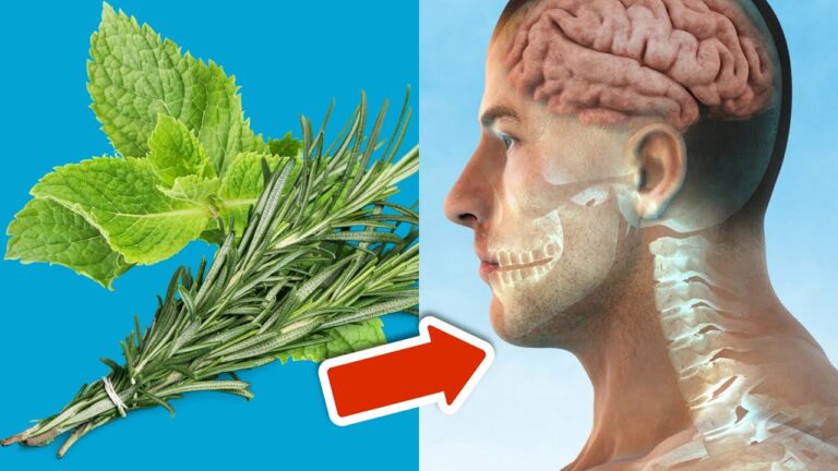 Mélangez 3 herbes : romarin, menthe et découvrez leurs bienfaits santé incroyables !