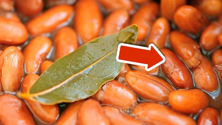 Ajoute 1 feuille de laurier dans ta soupe : 5 bienfaits surprenants à découvrir !