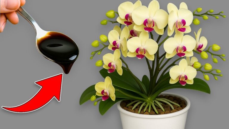 100 racines à faire fleurir avec 1 cuillère : découvrez comment !