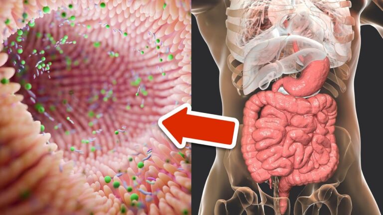 Améliorez votre santé intestinale en 5 étapes simples et efficaces dès aujourd&rsquo;hui !
