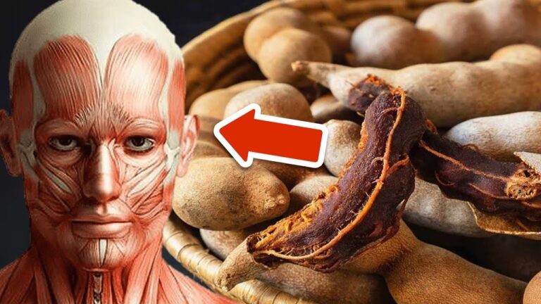 6 bienfaits surprenants de la tamarinde à découvrir absolument !