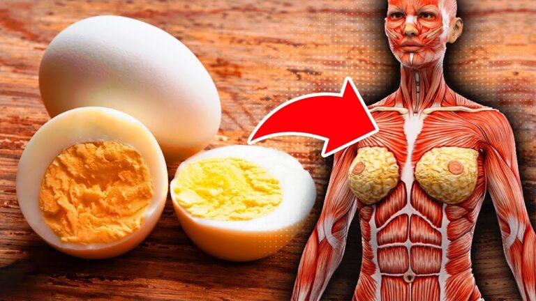 Mangez 1 œuf par jour : 5 incroyables bienfaits pour votre corps !