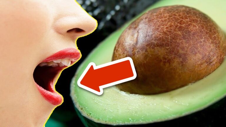 Transforme ton corps : 5 bienfaits incroyables de l&rsquo;avocat à découvrir !
