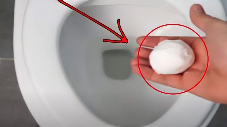 Éliminez les odeurs et taches tenaces des toilettes en quelques minutes
