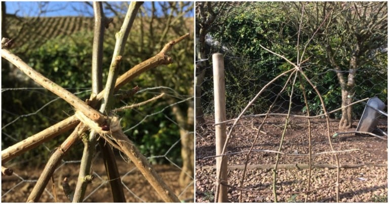 Comment réaliser une treille rustique avec des branches naturelles