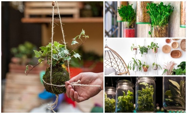 9 Idées de suspension de plantes innovantes pour petits espaces