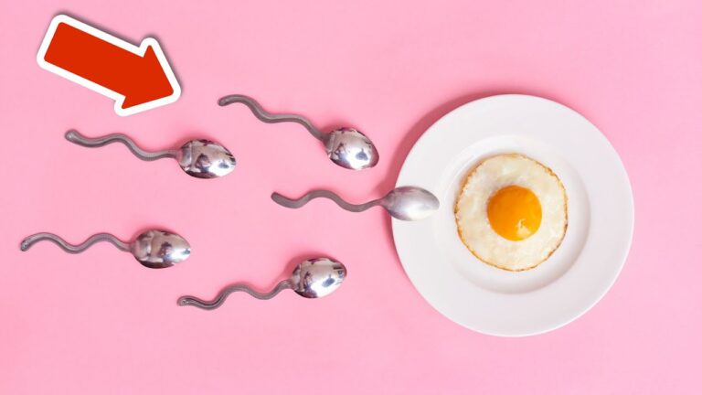 Augmentez votre nombre de spermatozoïdes en 5 étapes simples et efficaces !