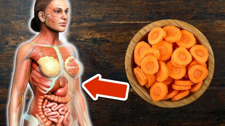 6 raisons qui montrent pourquoi augmenter ta consommation de carottes est essentiel !