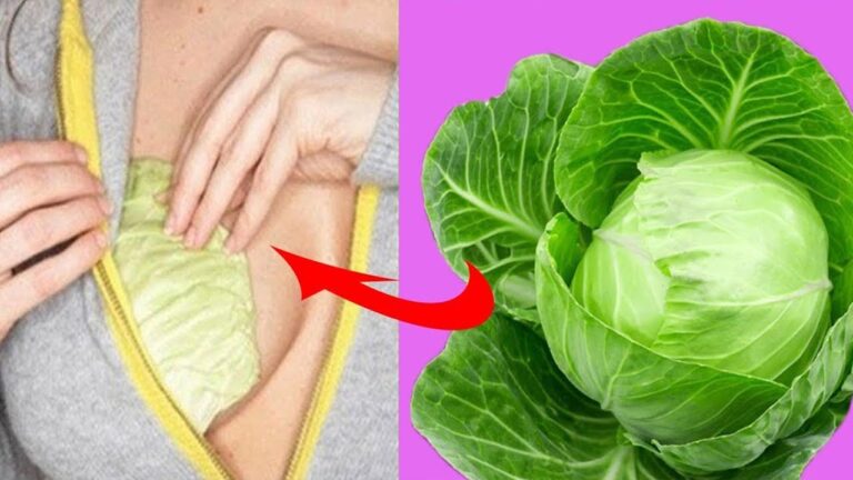 Découvrez 5 bénéfices surprenants des feuilles de chou pour votre bien-être !
