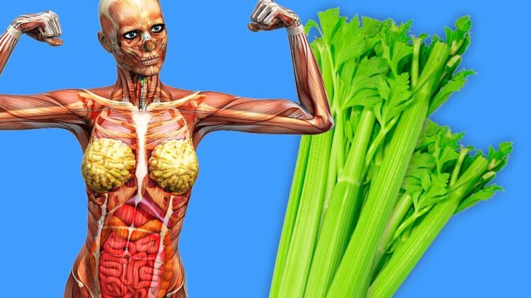Découvrez les 5 bénéfices surprenants de manger du céleri chaque jour !