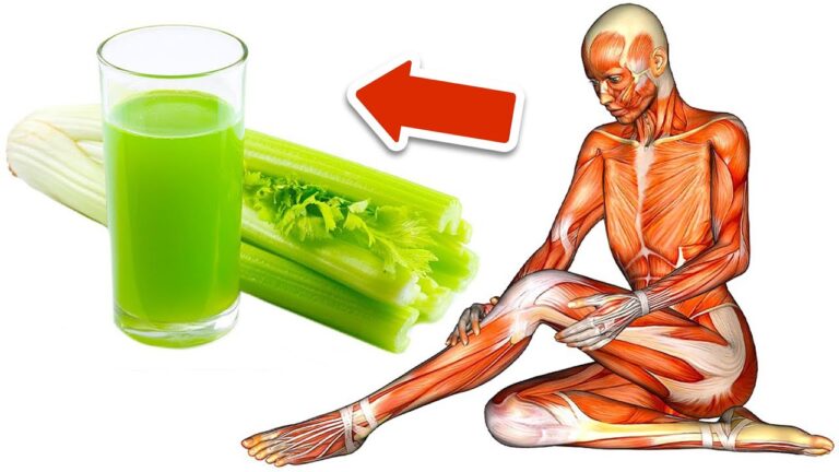 Découvrez 7 incroyables bienfaits du jus de céleri à boire chaque jour !