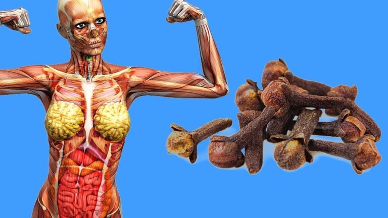 Découvre les 5 bienfaits incroyables des clous de girofle à manger quotidiennement !