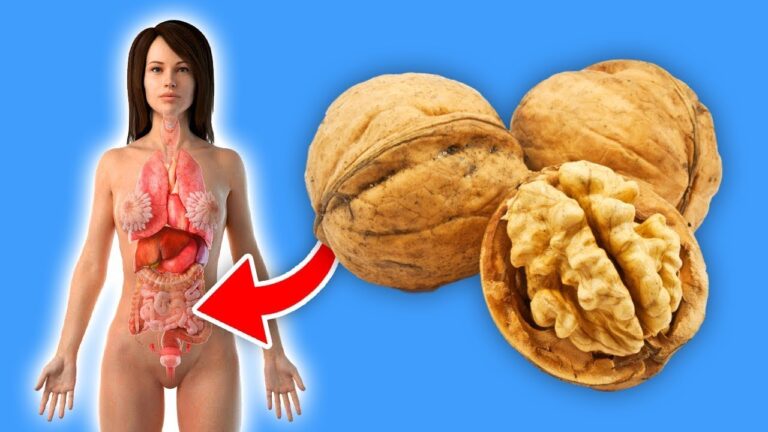 3 bienfaits des noix : découvrez comment elles ont changé sa vie !