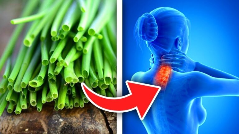 Découvrez les 5 bienfaits surprenants du cresson à manger chaque jour !