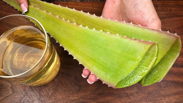 Découvrez 5 astuces pour avoir une peau éclatante comme ma grand-mère à 67 ans !