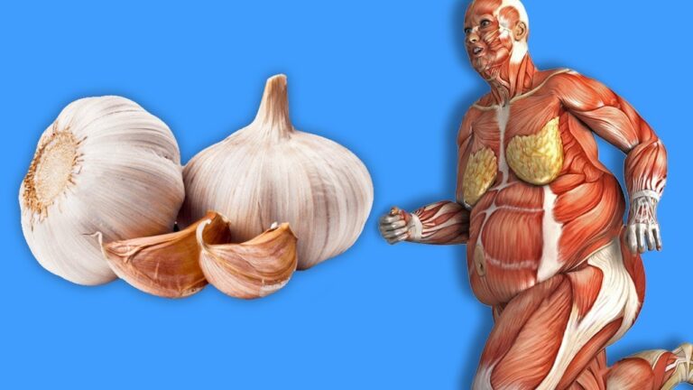 Découvrez 5 bienfaits surprenants du mélange ail et miel à intégrer dans votre quotidien !