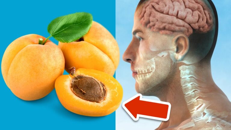 7 raisons surprenantes de manger plus d&rsquo;abricots 🍑 pour votre santé !