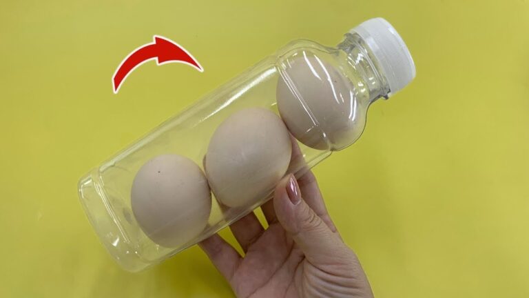 12 astuces brillantes à faire avec vos bouteilles en plastique ! Ne les jetez pas !
