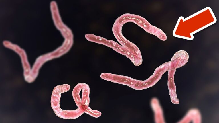 6 signes révélateurs : est-il temps de faire une détox contre les parasites ?